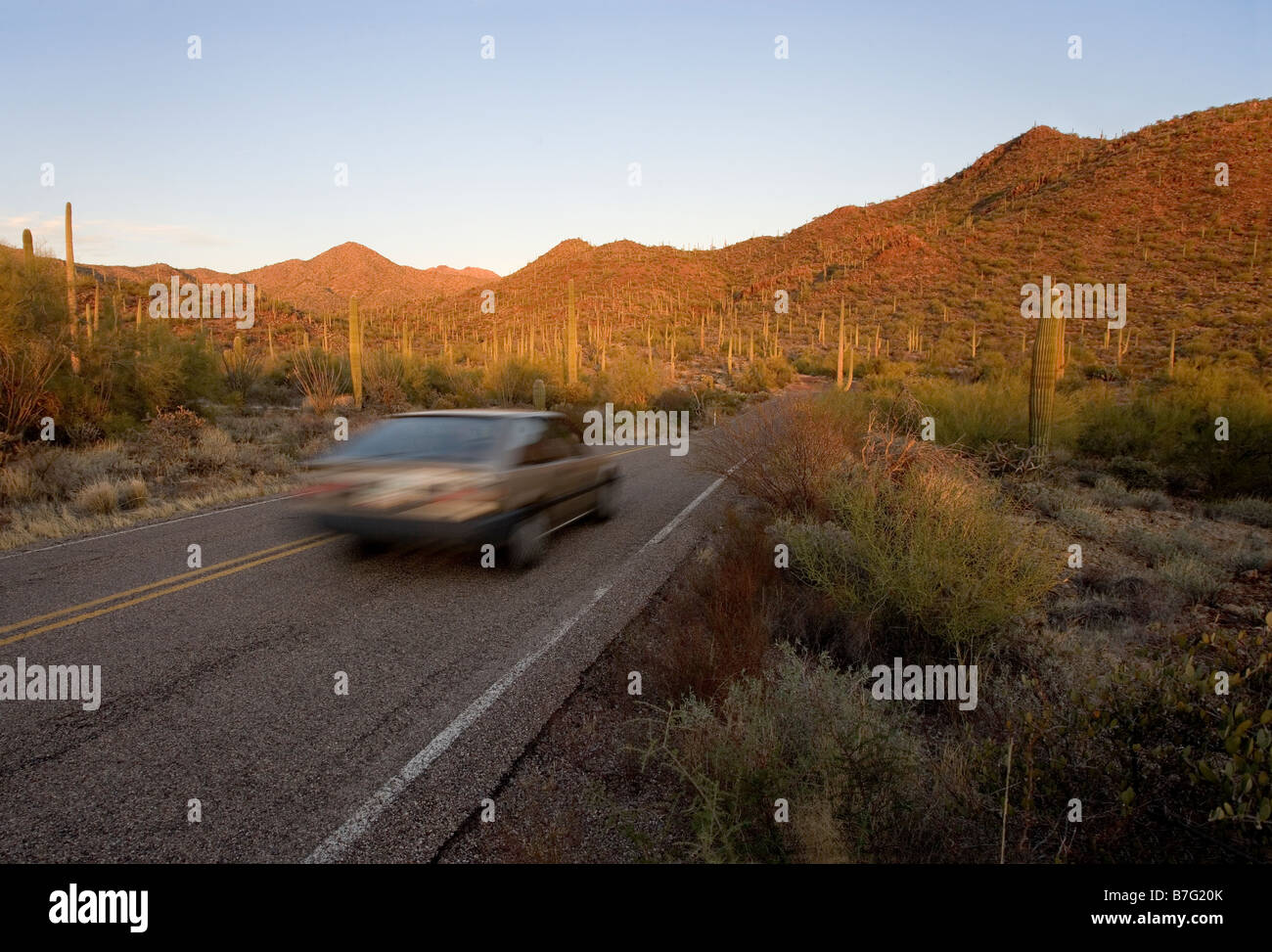 Ein Auto fährt durch Saguaro West National Park auf Kinney Road in der Nähe des Red Hills und in der Nähe von Gould Mine Trail bei Sonnenuntergang Stockfoto