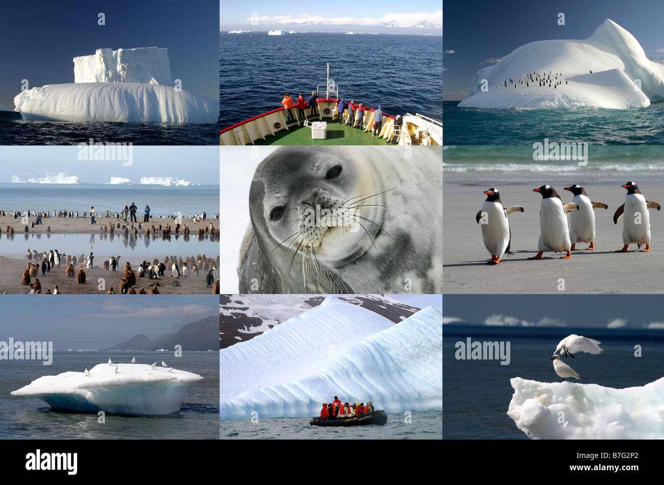 Auswahl der Bilder, die während einer Antarktis-Expedition Stockfoto