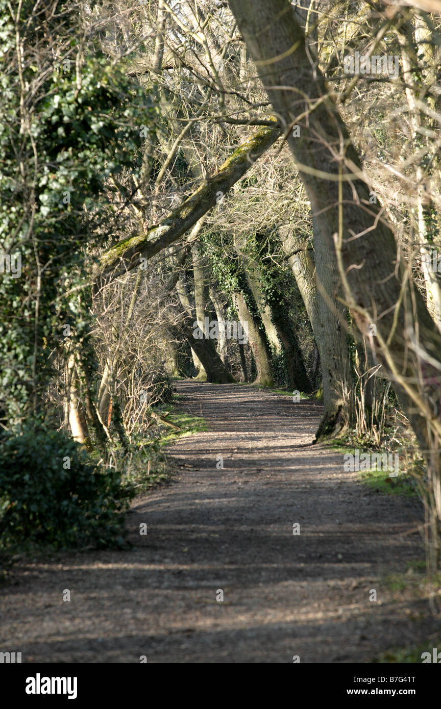 Wandern im Sommerhaus Hill Holz, Beckenham Ort Park, Lewisham Stockfoto