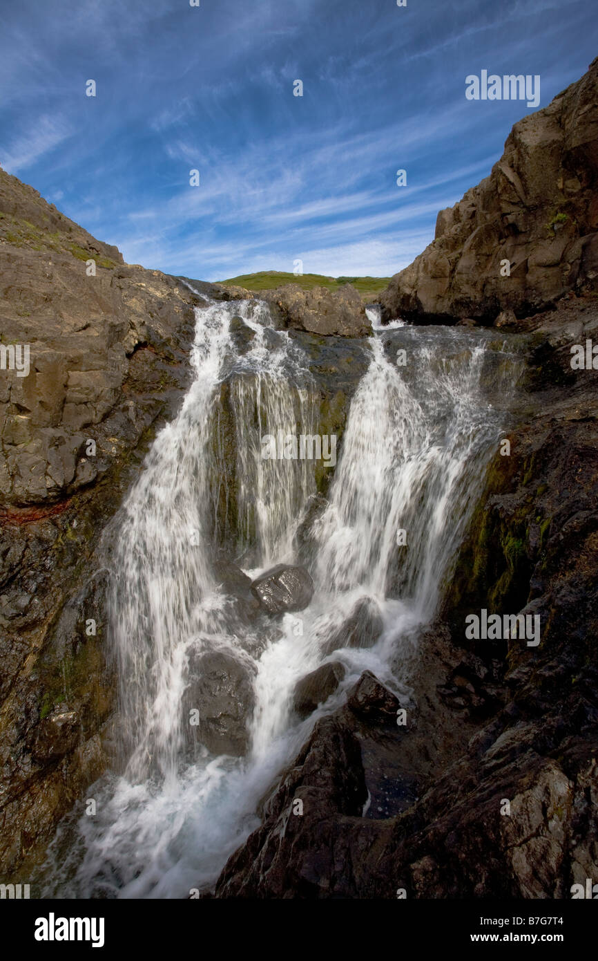 Kleiner Bach fließt durch eine Schlucht Stockfoto