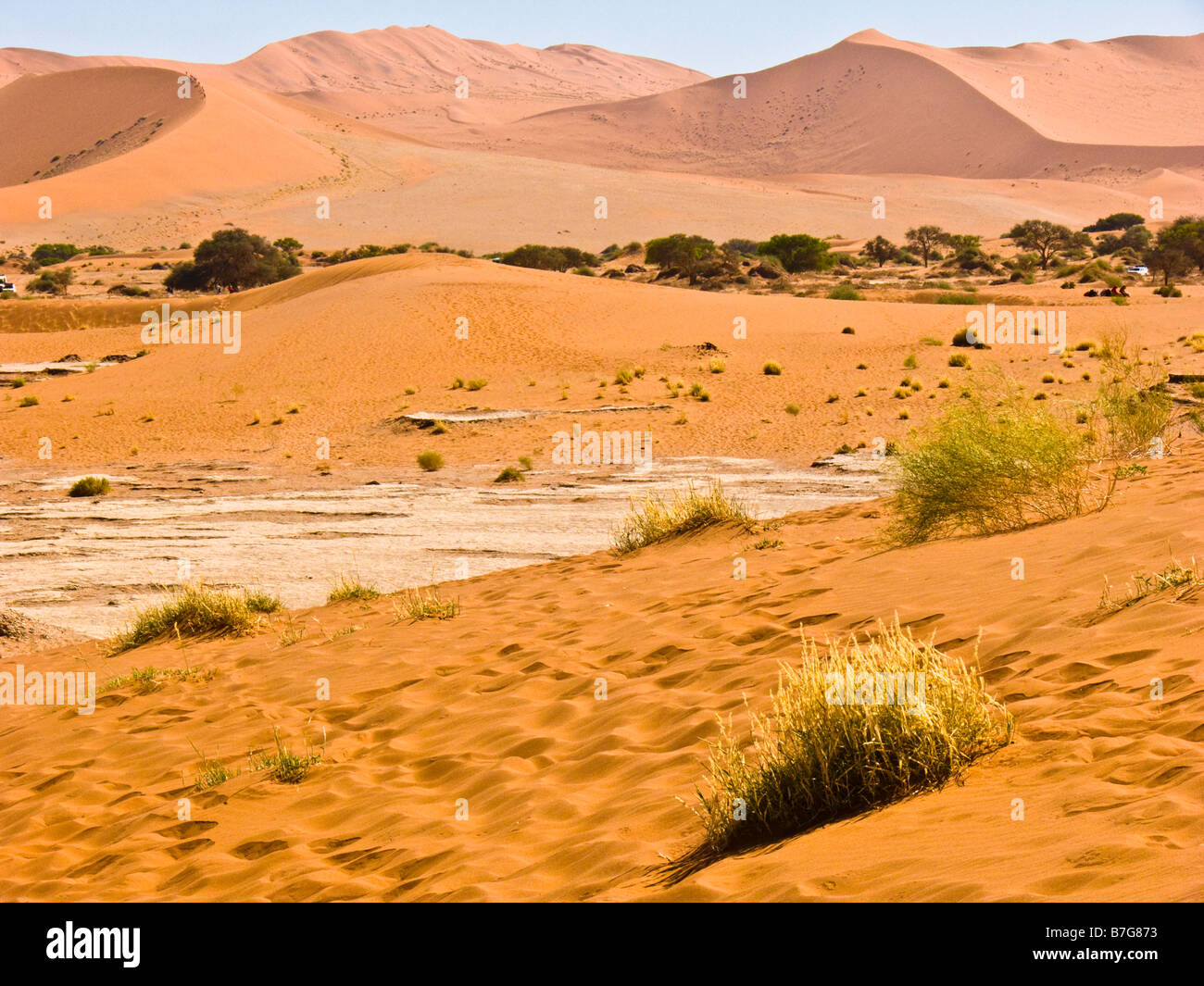 Namib-Wüste Stockfoto