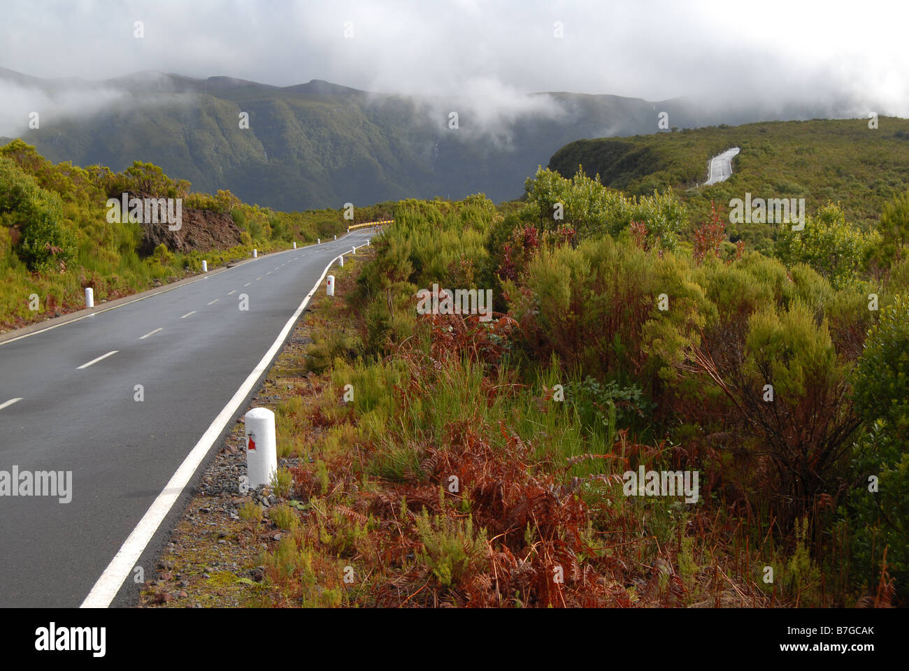 Blick auf eine Straße in Madeira an einem nassen und bewölkten Tag mit schönen üppigen grünen Vegetation und Farne, Madeira, Portugal Stockfoto