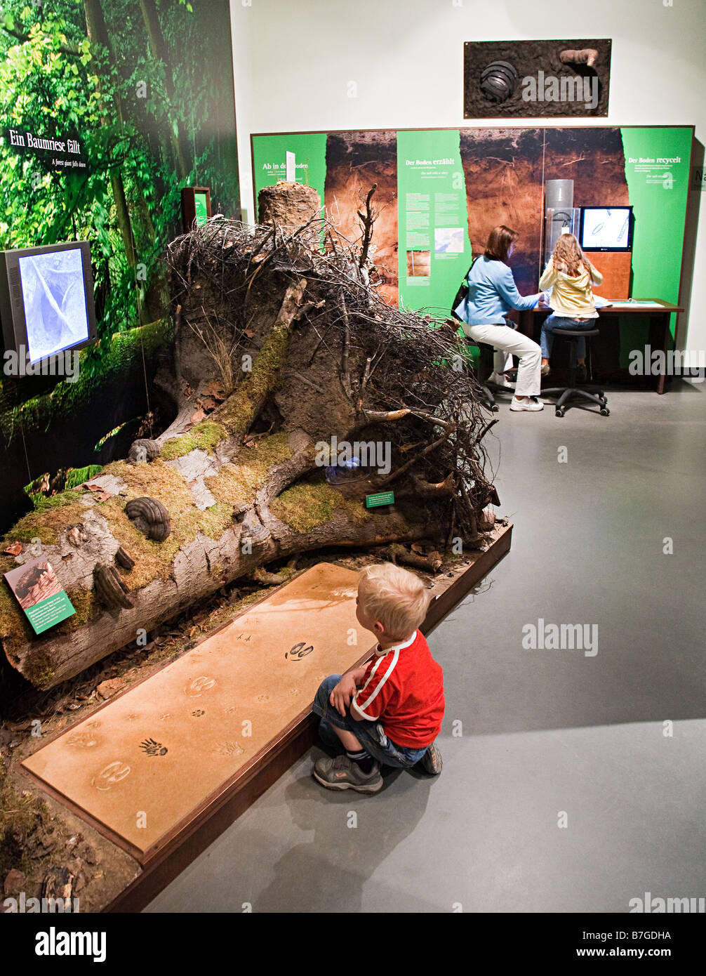 Kleiner Junge und Kinder im Bereich "Natur" des Naturhistorischen Museums Muritzeum Waren Deutschland Stockfoto