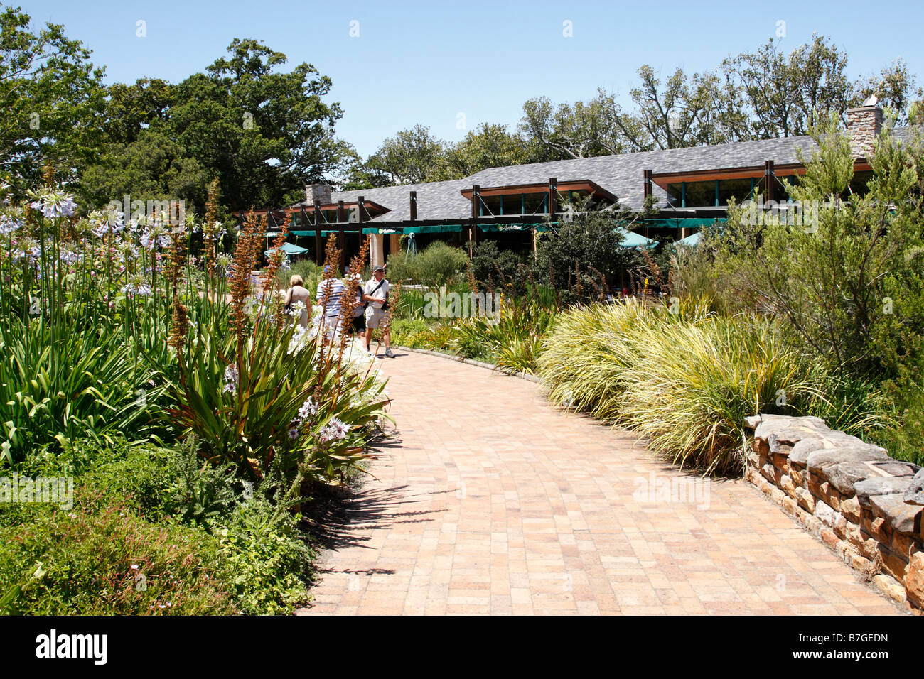 zeigen Sie in nationalen botanischen Garten von Kirstenbosch gegründet 1913 Cape Town-Südafrika an Stockfoto