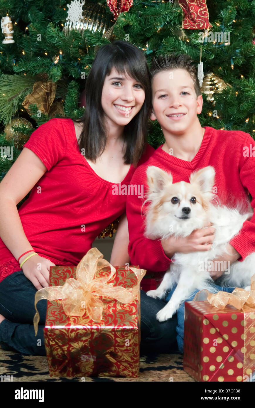 Jugendliche sitzen durch einen Weihnachtsbaum mit Geschenken und hält ihr Haustier Stockfoto