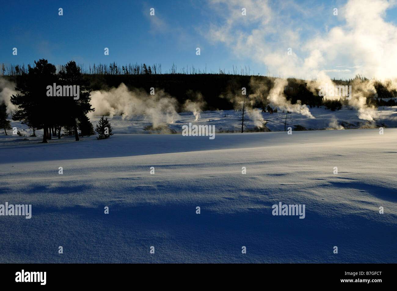 Dampfdüsen im Winter. Der Yellowstone Nationalpark, Wyoming, USA. Stockfoto