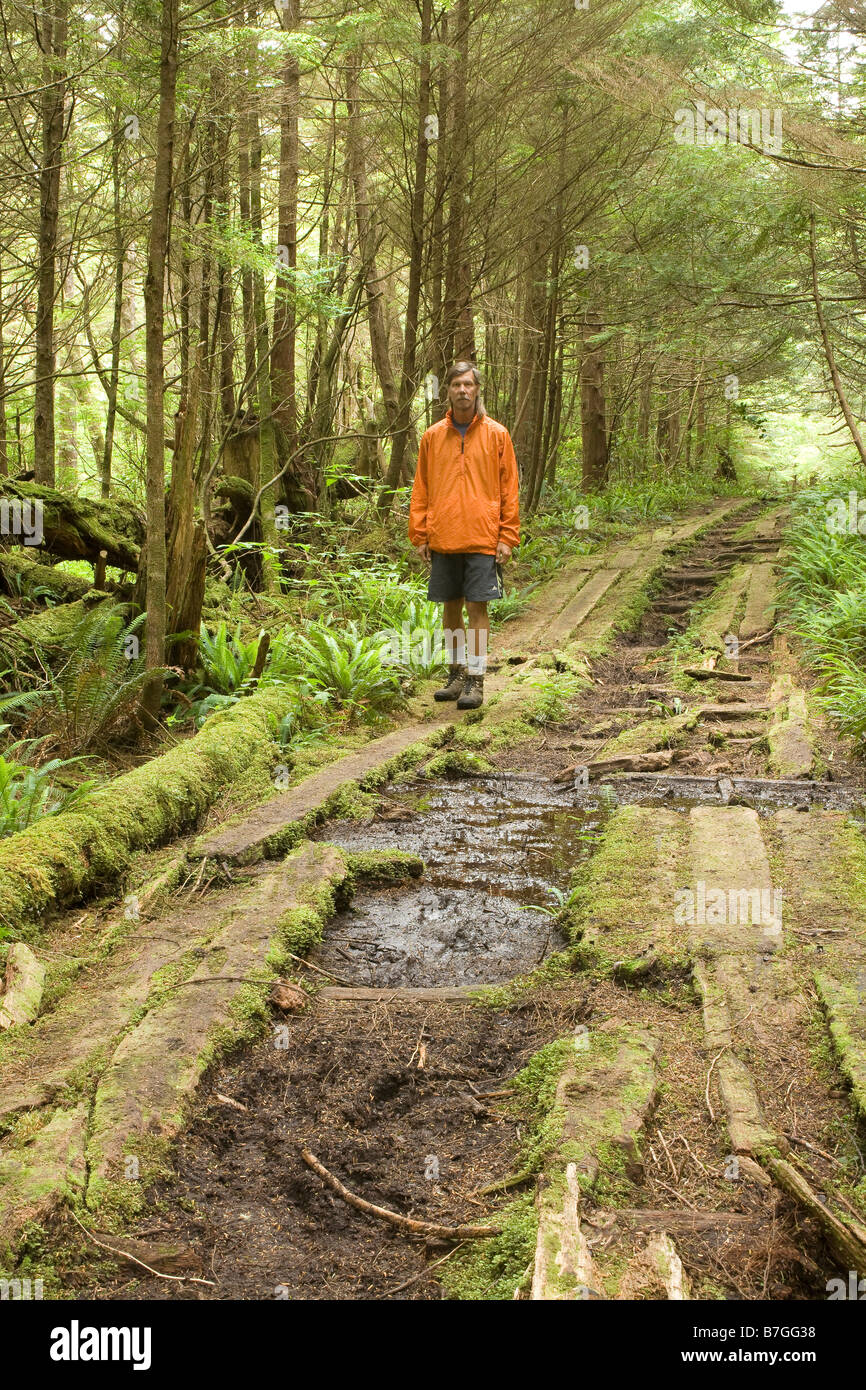 BRITISH COLUMBIA - Wanderer auf den alten Plank Landstraße durch den Wald zwischen Deckmantel Bay und Cape Scott Lighthouse in Cape Scott. Stockfoto