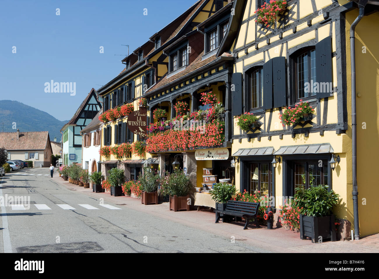 Viele Hotels und Unterkünfte befinden sich in der elsässischen Wein-Route mit Blumen geschmückt Stockfoto