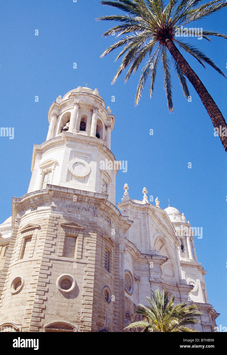 Kathedrale. Cadiz. Andalusien. Spanien. Stockfoto