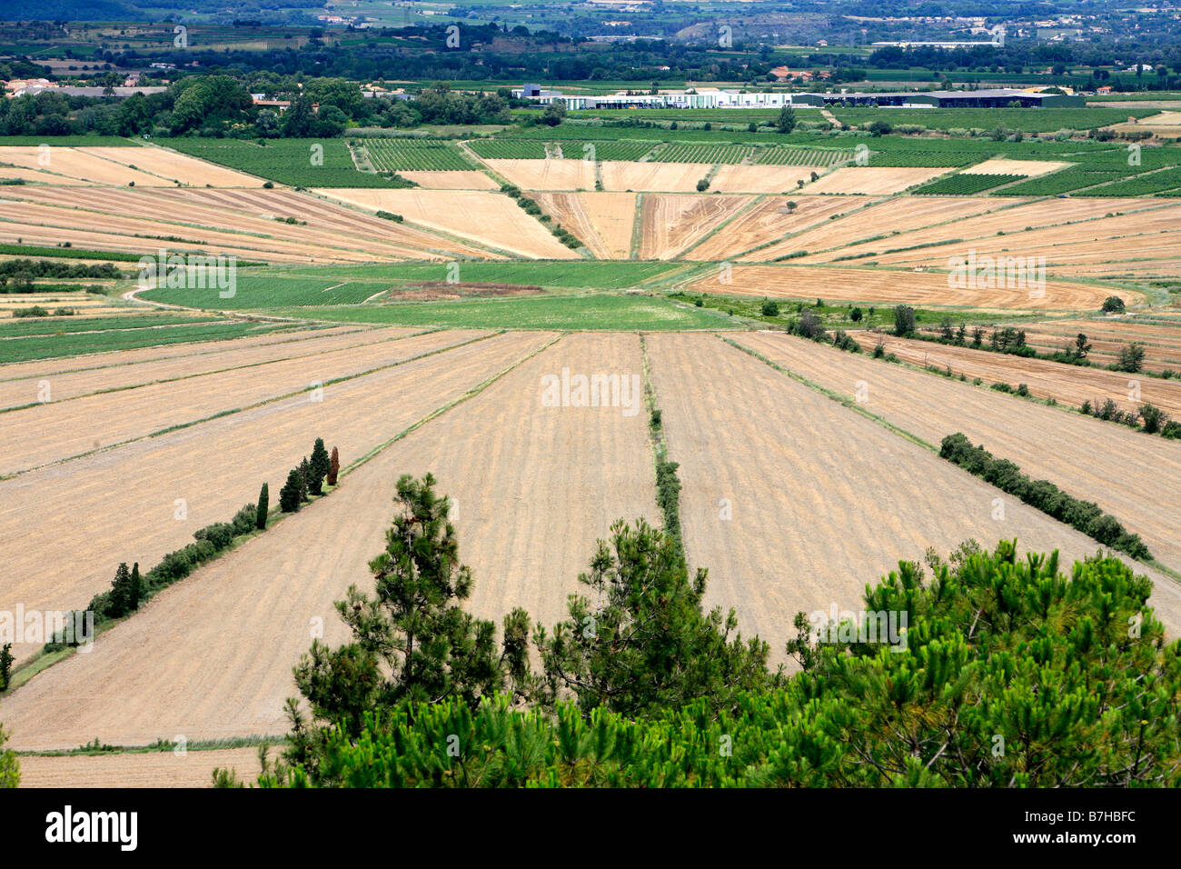 Keilförmigen Felder unterhalb der Oppidum d'Ensérune in Aude, Frankreich Stockfoto