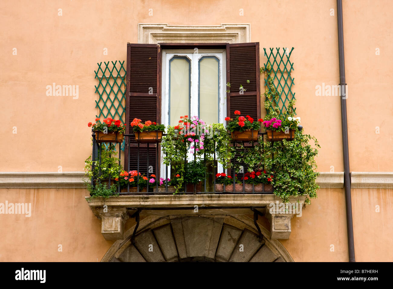 Blumen am Fenster Balkon in Rom Italien Stockfoto