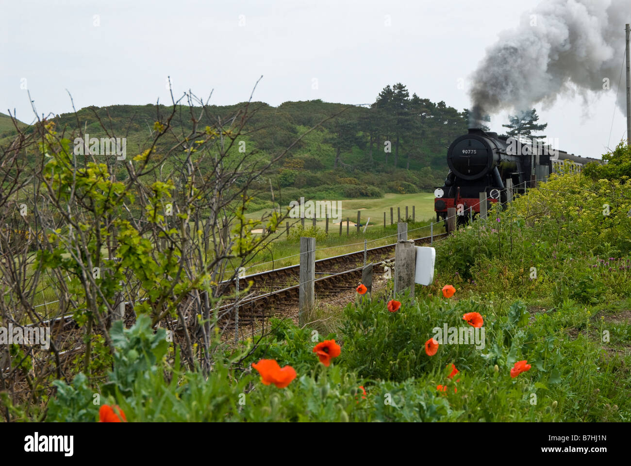 Ein Dampfzug auf der North Norfolk Railway auch bekannt als The Poppy Line, in der Nähe von Sherringham, Norfolk, England. UK Stockfoto