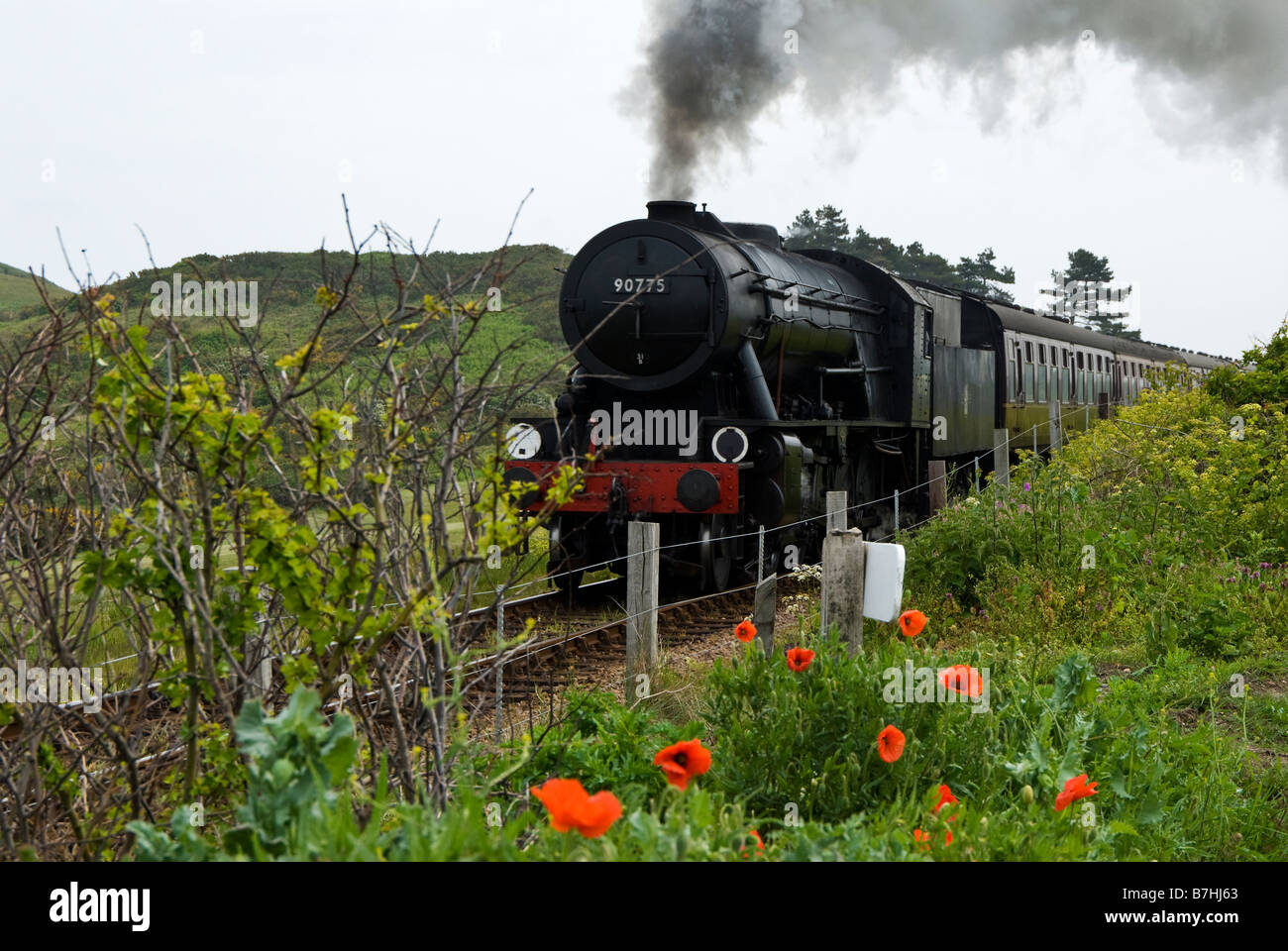 Eine Dampflok auf der North Norfolk Railway auch bekannt als die Mohn-Linie in der Nähe von Sherringham, Norfolk, England. VEREINIGTES KÖNIGREICH. Stockfoto