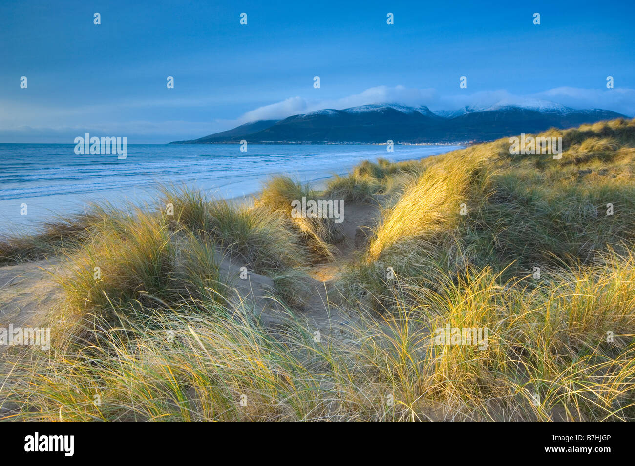 Irische Landschaft Bild von Dünen, Strand und Küste bei Murlough Strand, Dundrum Bay, Newcastle, County Down, Nordirland Stockfoto