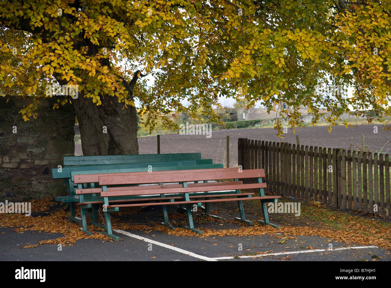 Im Herbst Saison Schuss Parkbänke beiseite gelegt, nach dem Sommer unter Herbst Baum Stockfoto