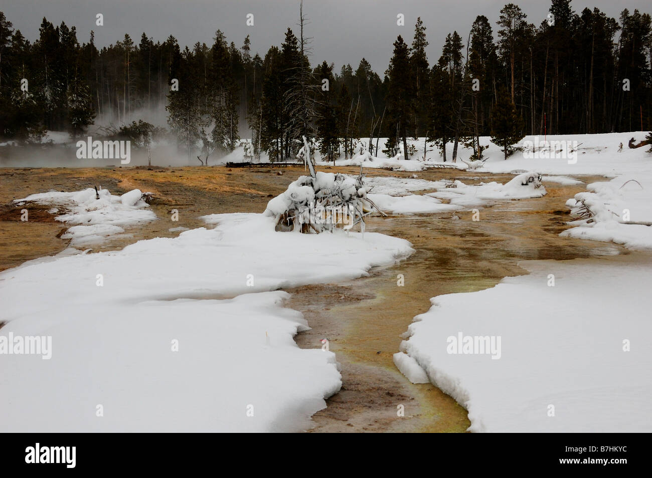 Heiße Quelle ablaufen. Der Yellowstone Nationalpark, Wyoming, USA. Stockfoto