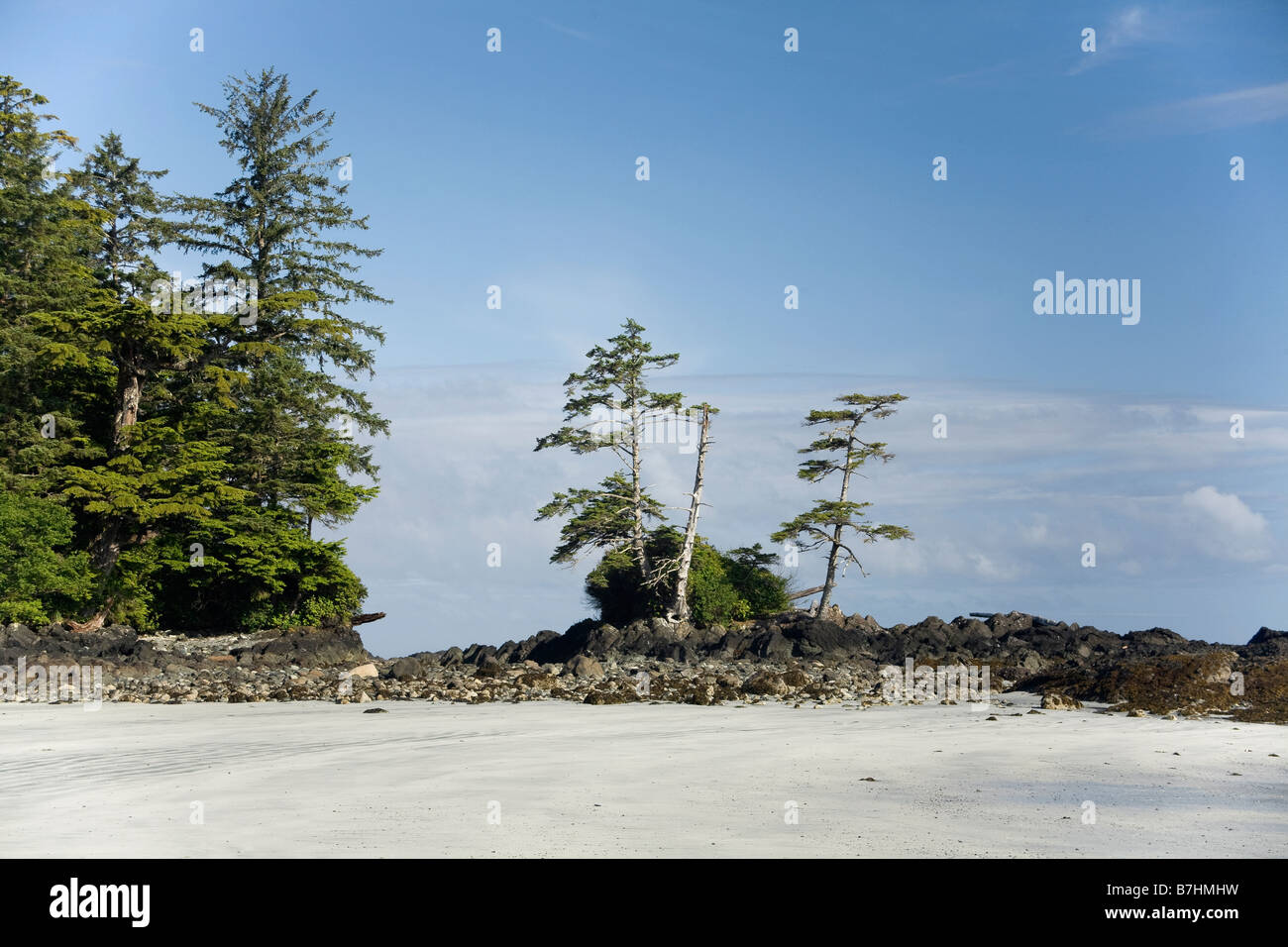 BRITISH COLUMBIA Bäume auf einem felsigen Punkt zwischen Nissen Bight und Fischer Bay entlang der North Coast Trail auf Vancouver Island. Stockfoto