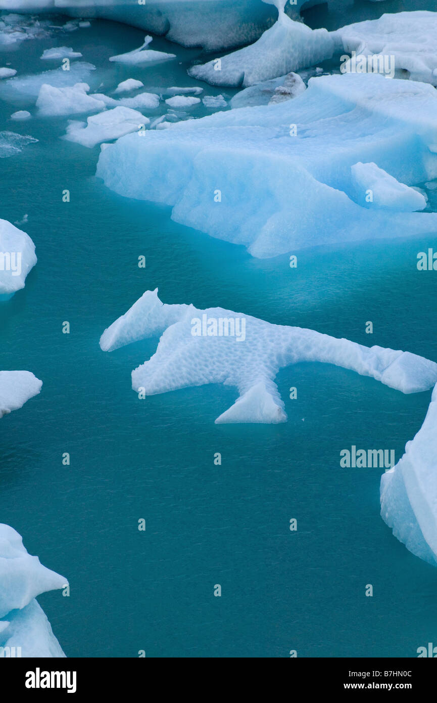 Eisblöcke schwimmt auf dem Wasser Perito Moreno Gletscher Parque Nacional Los Glaciares Patagonien Argentinien Stockfoto