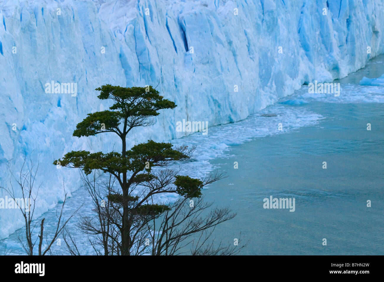 Landschaft der Perito Moreno Gletscher Parque Nacional Los Glaciares Patagonien Argentinien Stockfoto