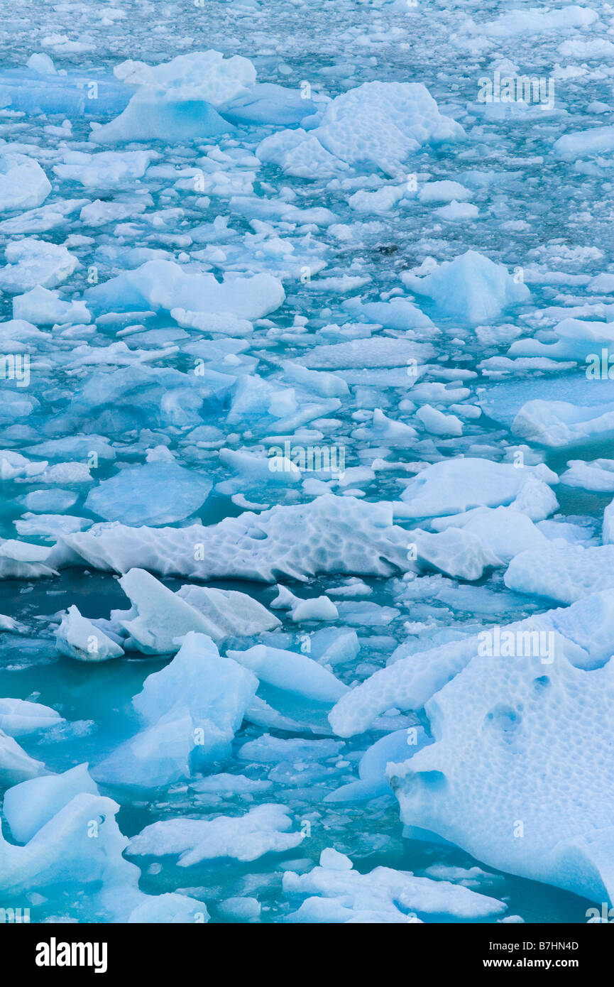 Eisblöcke schwimmt auf dem Wasser Perito Moreno Gletscher Parque Nacional Los Glaciares Patagonien Argentinien Stockfoto