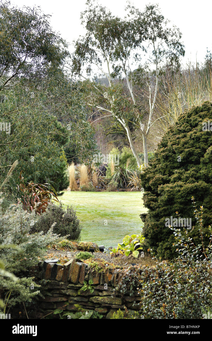 DER PLANTSMANS GARTEN IM RHS ROSEMOOR DEVON IM JANUAR Stockfoto