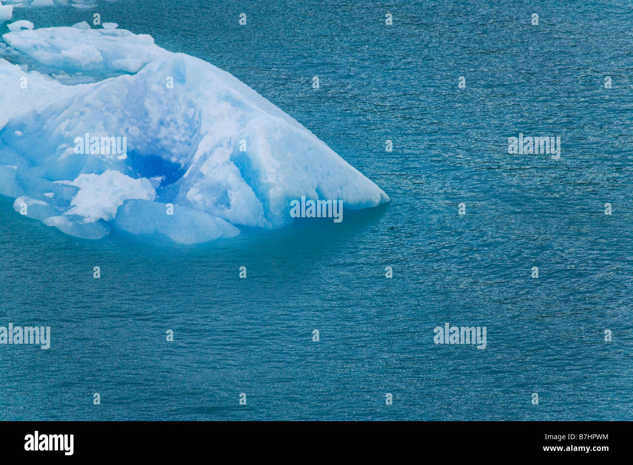 Eisblöcke schwimmt auf dem Wasser Perito Moreno Gletscher Parque Nacional Los Glaciares Patagonien Argentinien Stockfoto