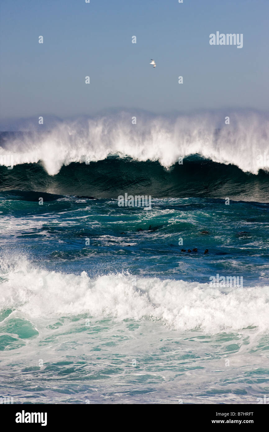 Pazifischen Ozeanwellen an Land an China Rock, Pebble Beach, Monterey Peninsula, Kalifornien, USA Stockfoto