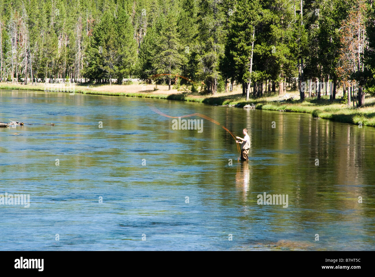 ein Fischer-Fliegenfischen auf der Madison River im Yellowstone National Park Stockfoto