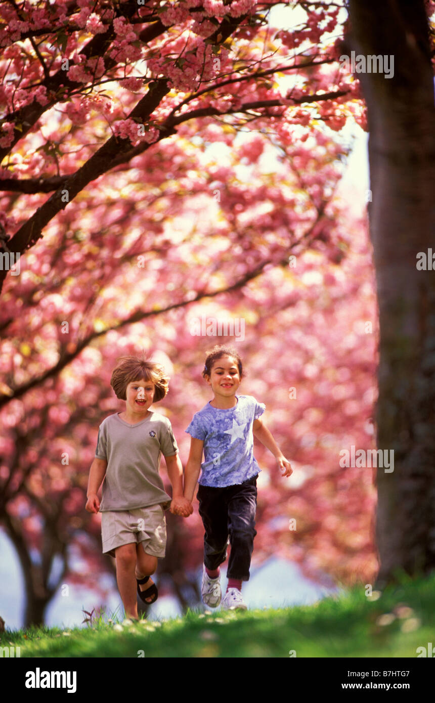 Zwei sechs Jahre alte Mädchen durchlaufen ein Kirschgarten, Hand in Hand Stockfoto