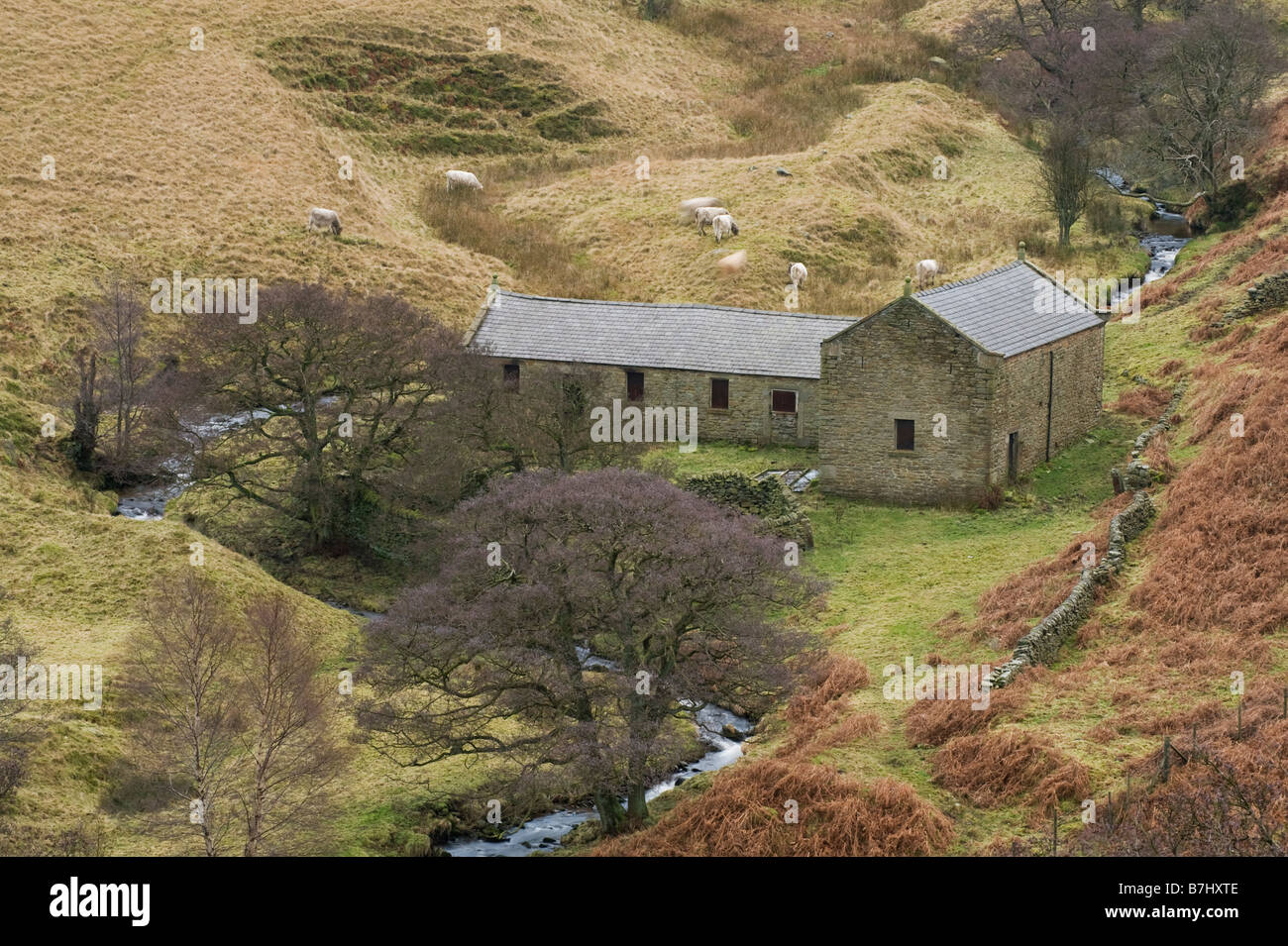 Landwirtschaftliche Gebäude, Ashop Valley, Peak District National Park, Derbyshire, Großbritannien Stockfoto