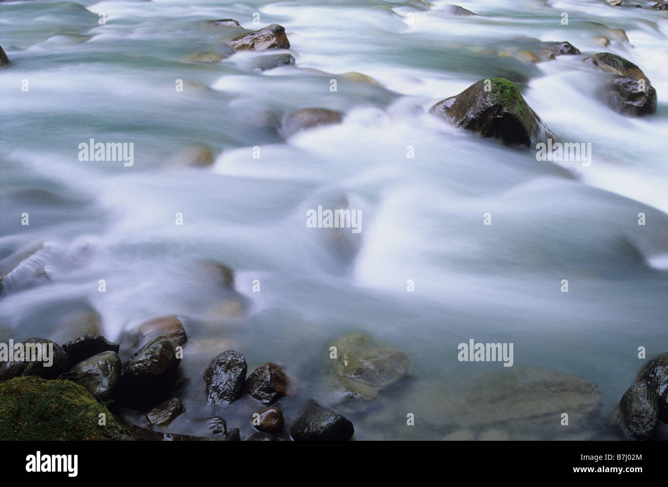 Wasser fließt über die Felsen an einem Bach, Motion blur, Earl Grey Creek, East Kootenays b.c. Stockfoto