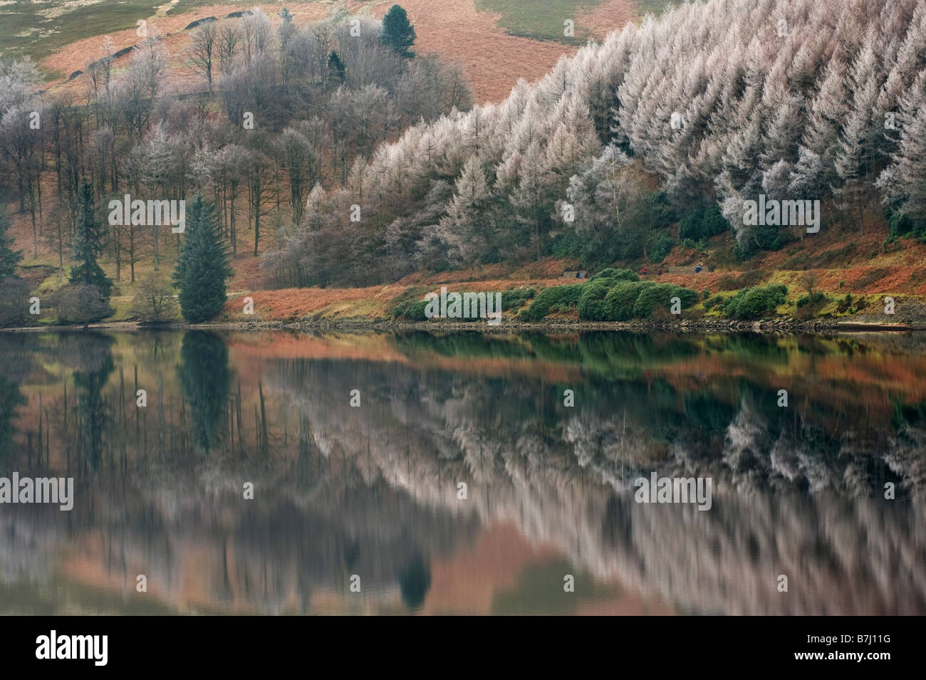 Gemischter Wald- und Raureif spiegelt sich im Derwent Reservoir, Peak District National Park, Derbyshire, Großbritannien, wider Stockfoto