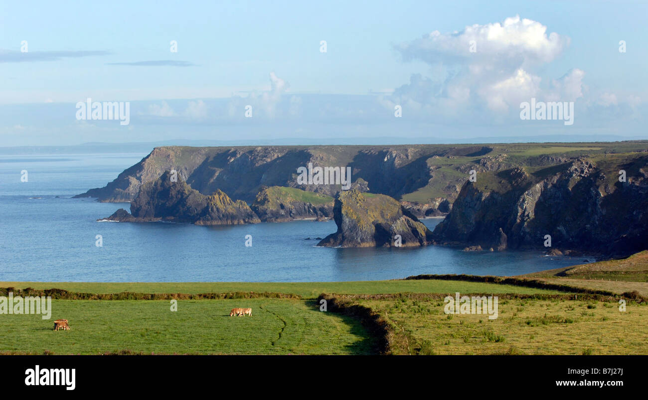 Die Halbinsel Lizard, Cornwall, England. Stockfoto