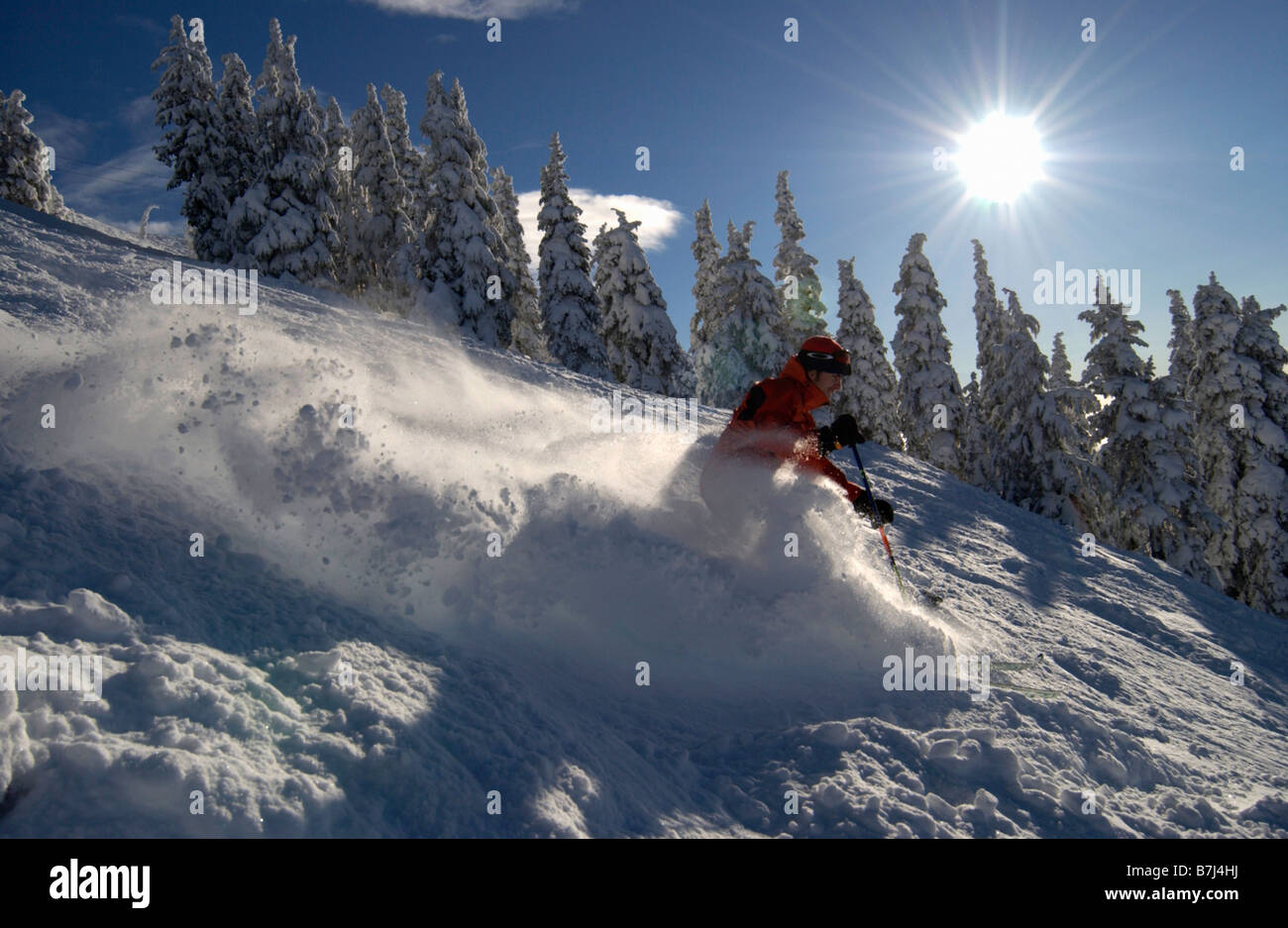 Mann (25-30) Skifahren im leichten Pulverschnee, Mount Washington Alpine Resort, Courtenay, BC, Kanada Stockfoto