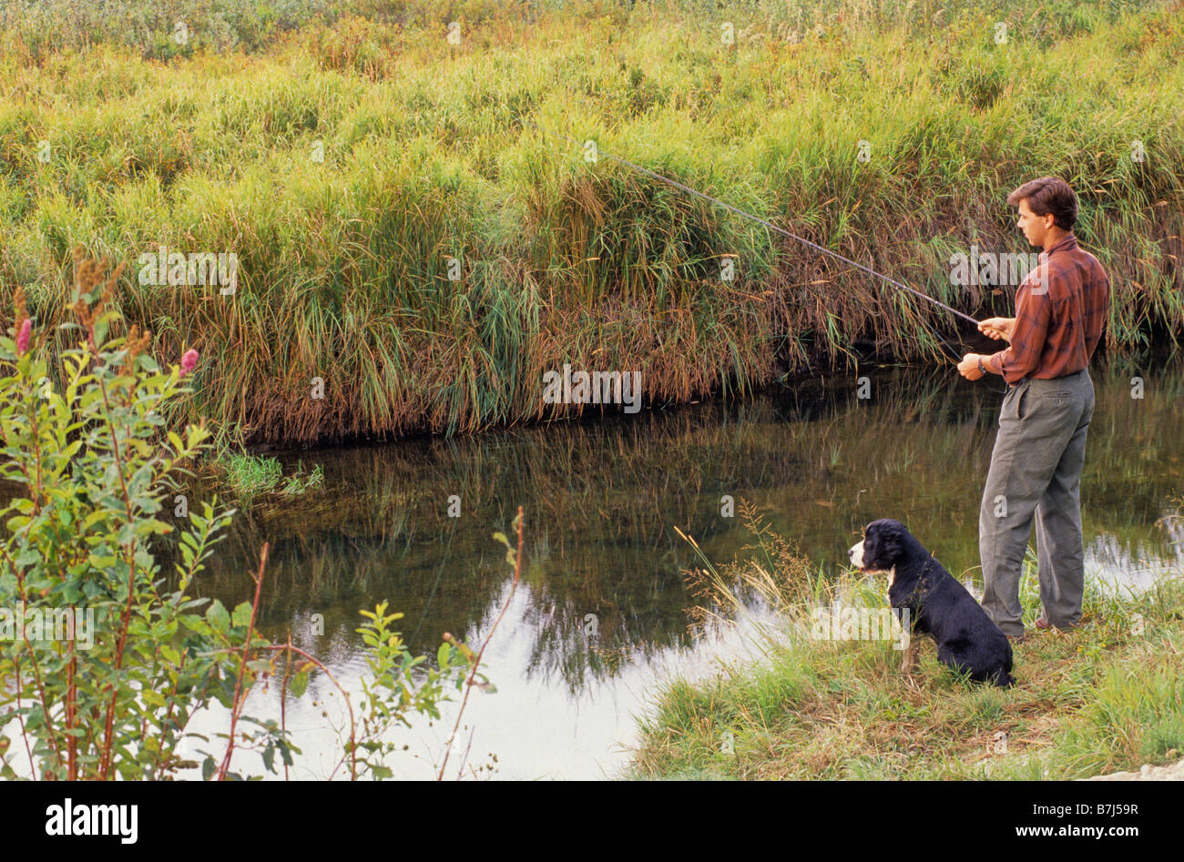 Mensch und Hund Fische neben kleinen Bach, Whistler, BC Kanada Stockfoto