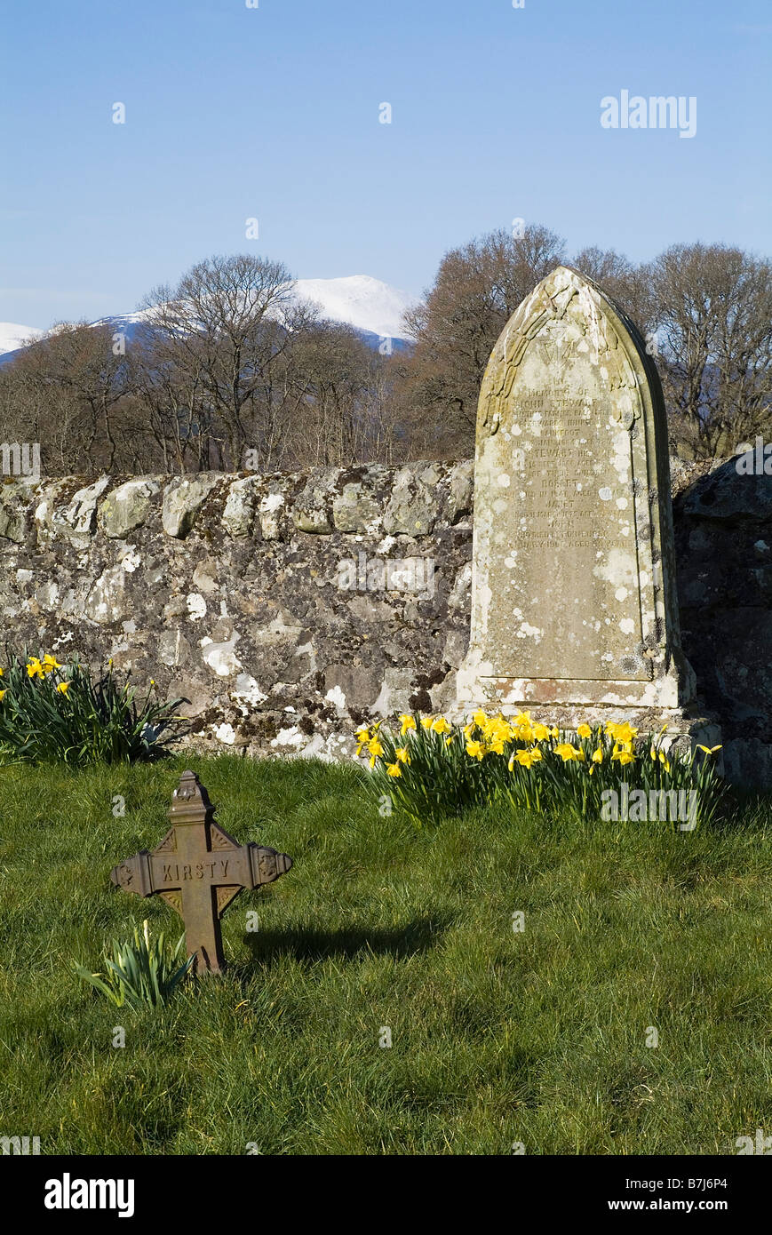 dh Loch Tummel STRATHTUMEL PERTHSHIRE Grabstein auf dem Land Friedhof mit Narzissen Grab Steingrab Stockfoto