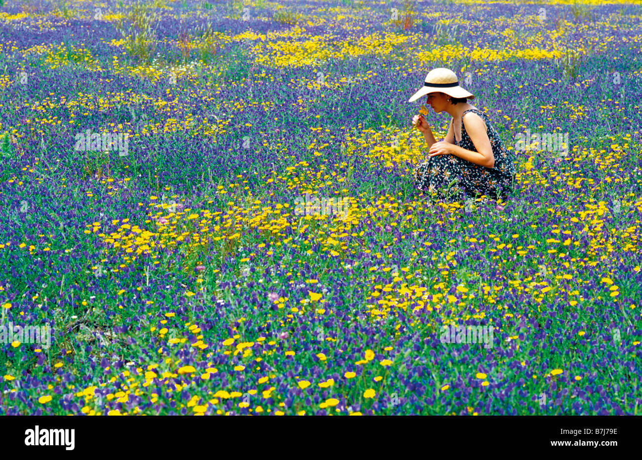 Frau sitzt in Blume Feld riechen auf einer Blume im Frühling im Alentejo, Portugal Stockfoto
