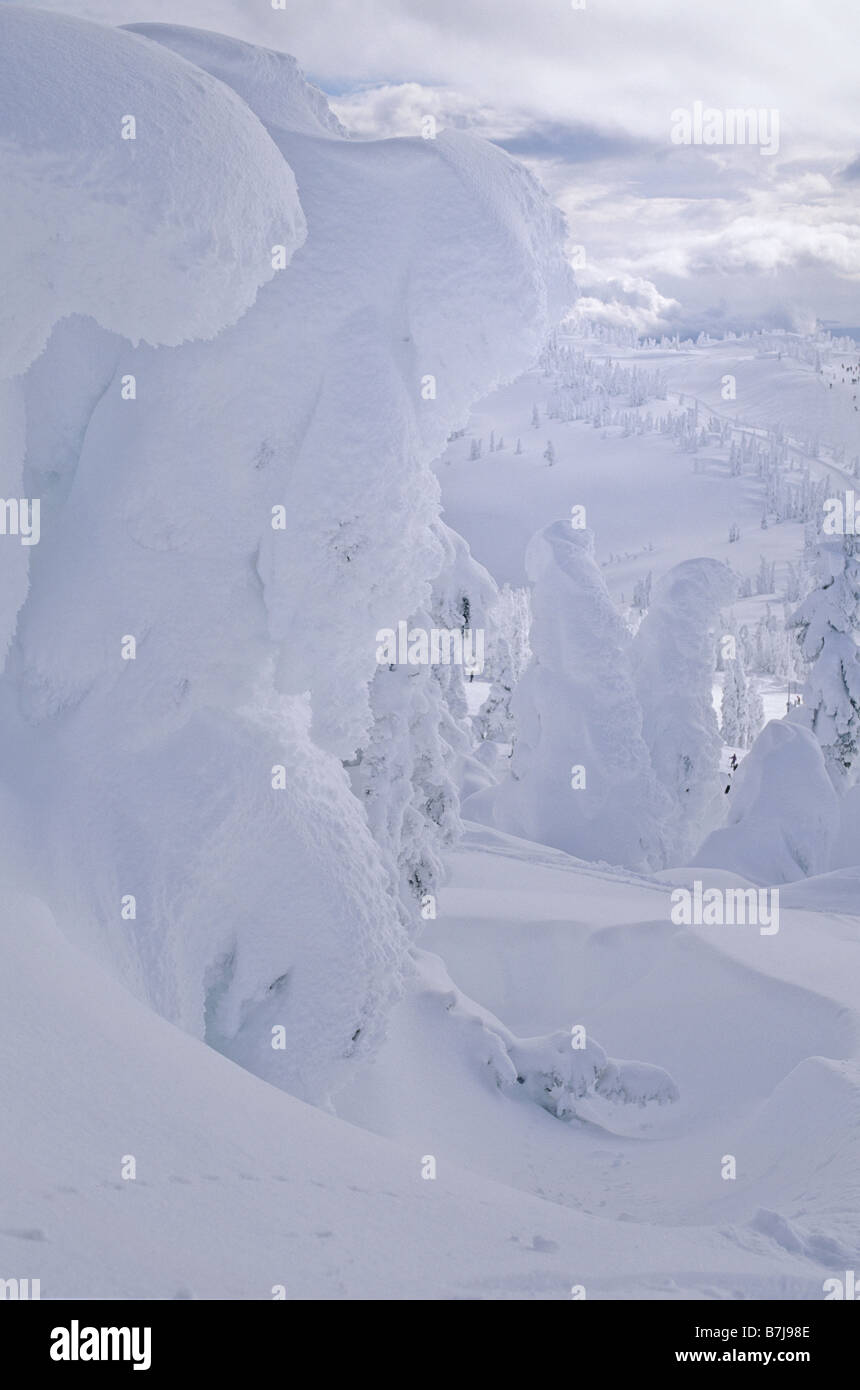 Schnee-Riesen sind Bäume in Raureif, Skigebiet Mt. Washington, Vancouver Island Stockfoto