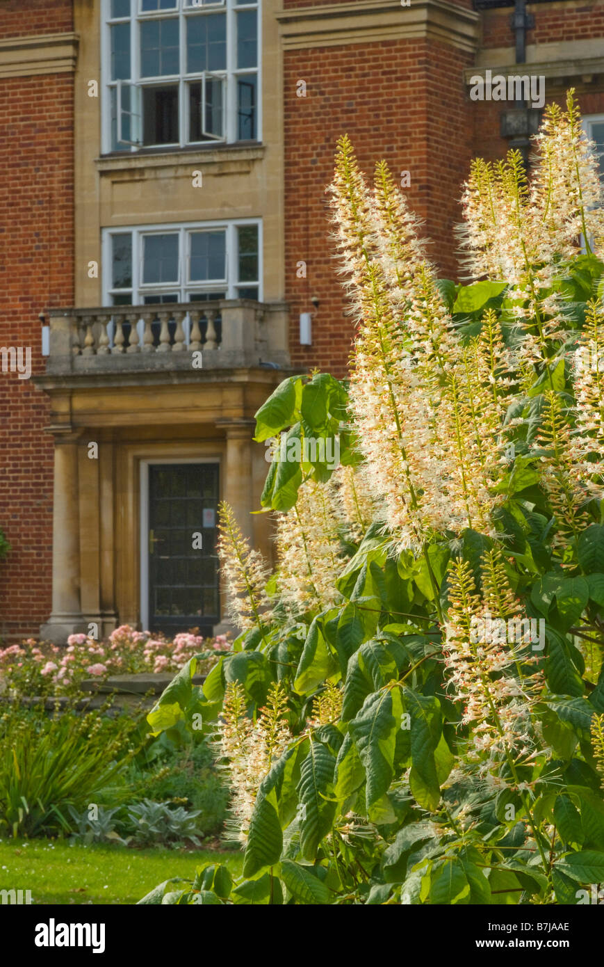 St Hugh's College Garden, Oxford Stockfoto