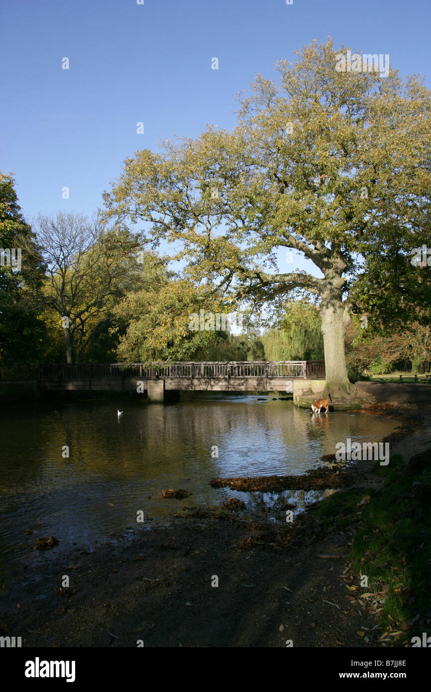 Cassio Brücke, Fluss Colne Cassiobury Park, Watford, Herts, UK Stockfoto