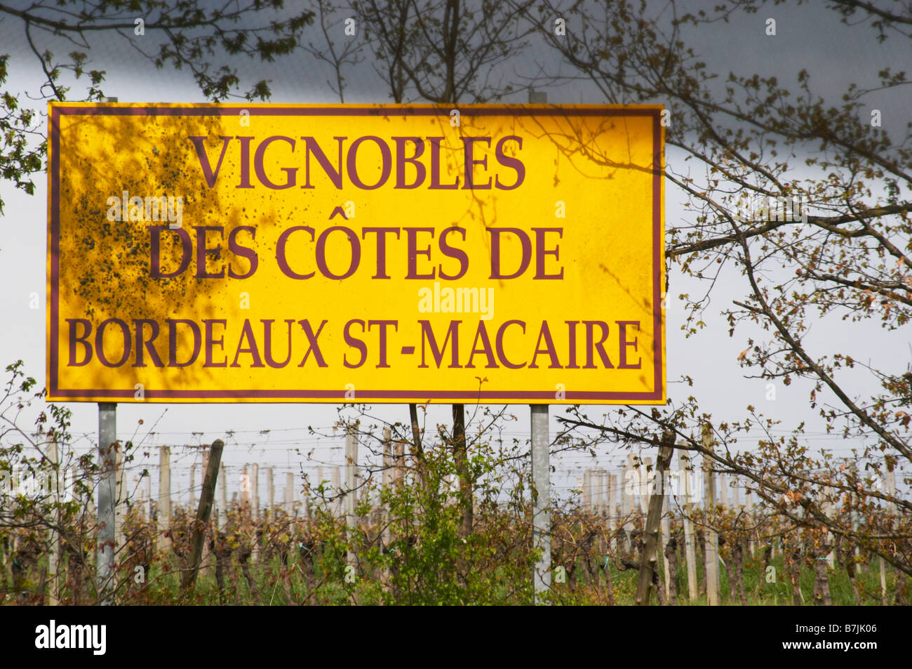 Wein Region Zeichen Cote de Bordeaux-Saint-Macaire-Bordeaux Frankreich Stockfoto