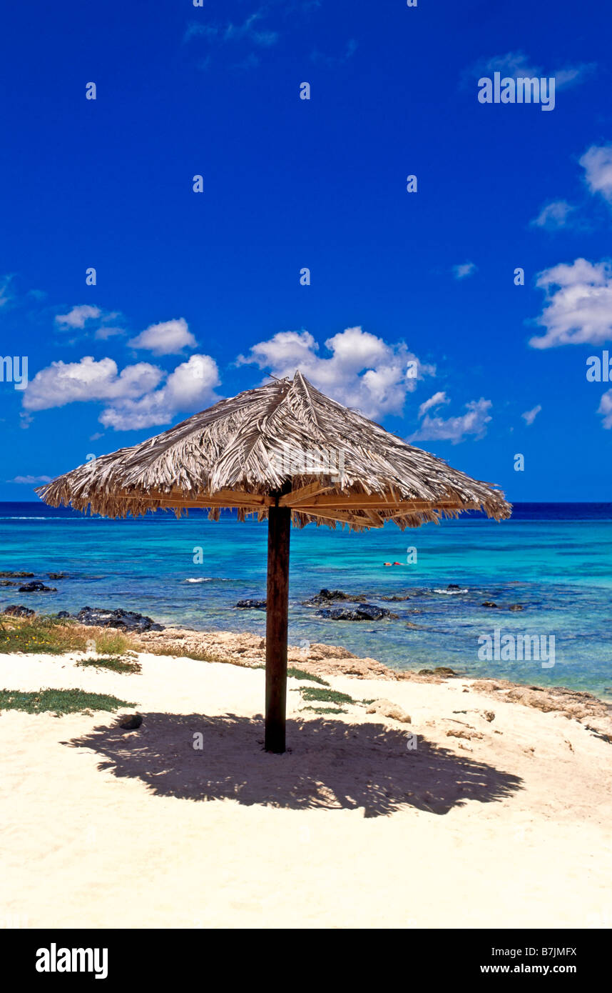Reet Sonnenschirm am Strand von Aruba. Stockfoto