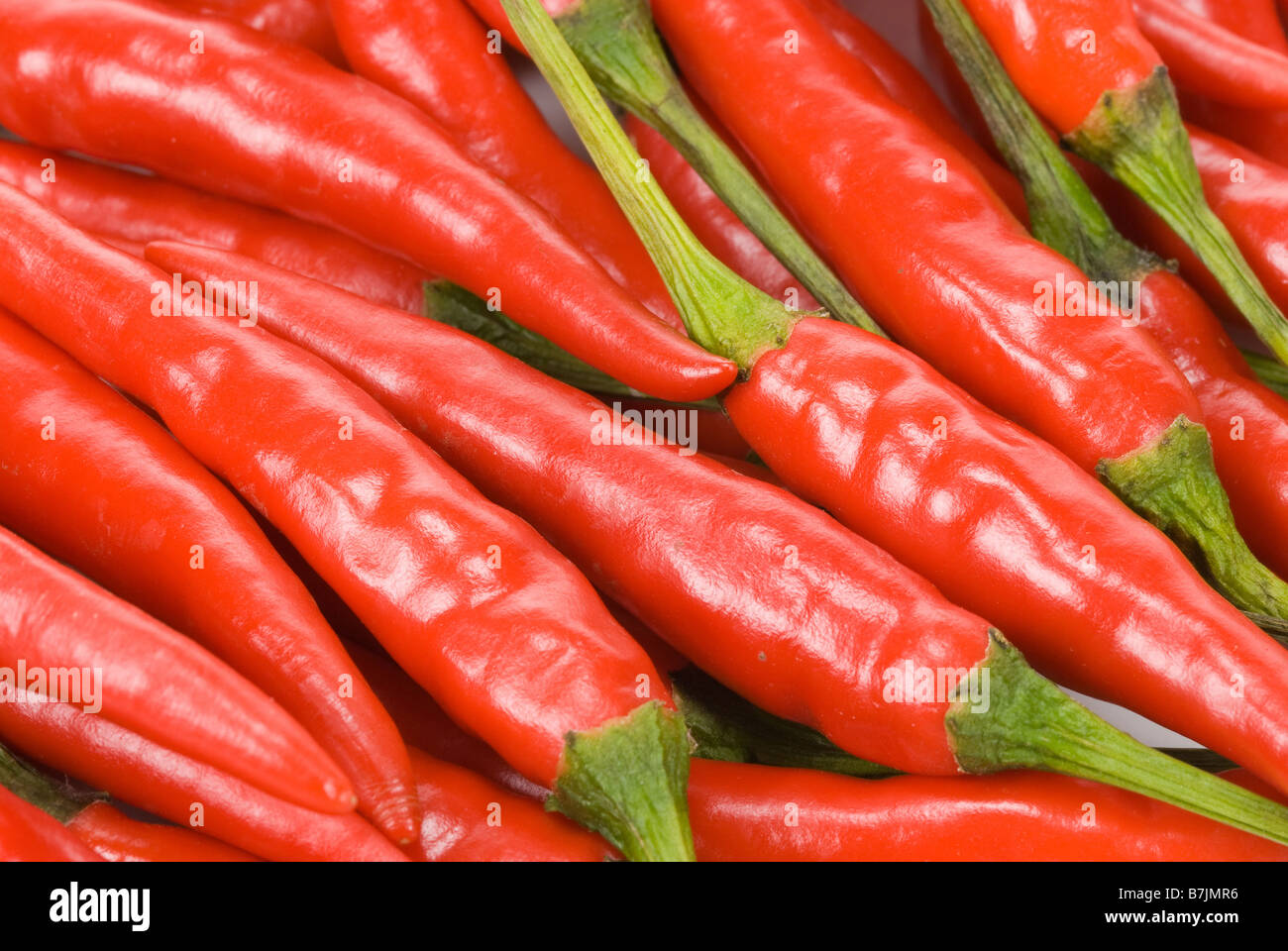 Nahaufnahme von frische rote Chilischoten für Hintergrund Stockfoto
