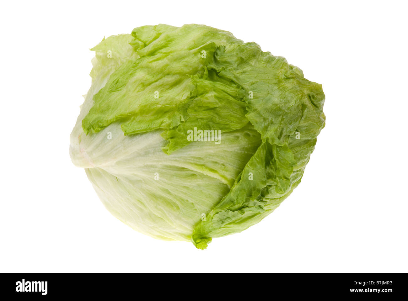 frischer Salat, isoliert auf weißem Hintergrund Stockfoto