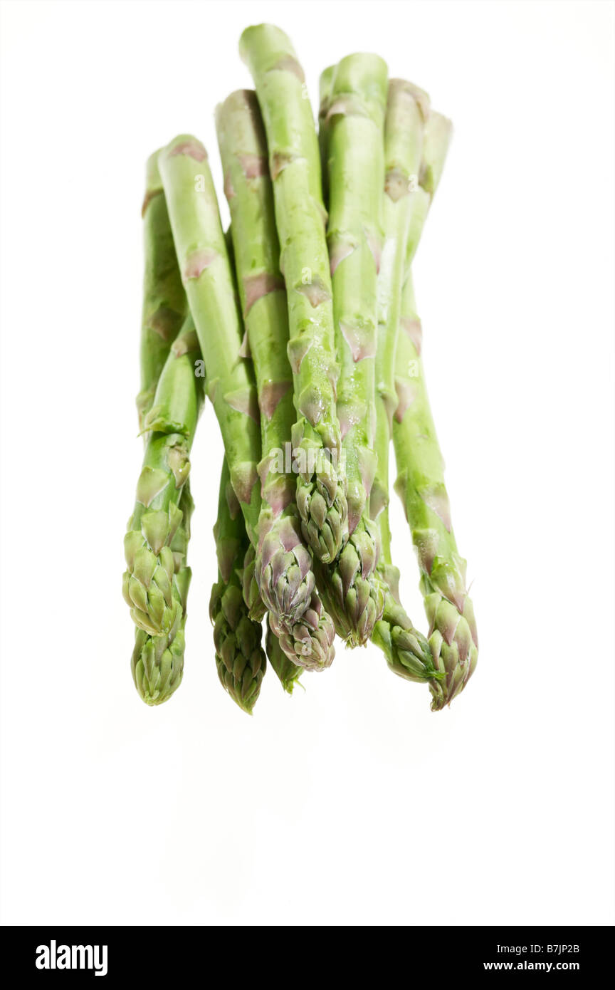 Grüne frische kulinarische Gemüse Spargel Officinalis Speere auf einem weißen Hintergrund gruppiert, als ob es zu kochen. Stockfoto