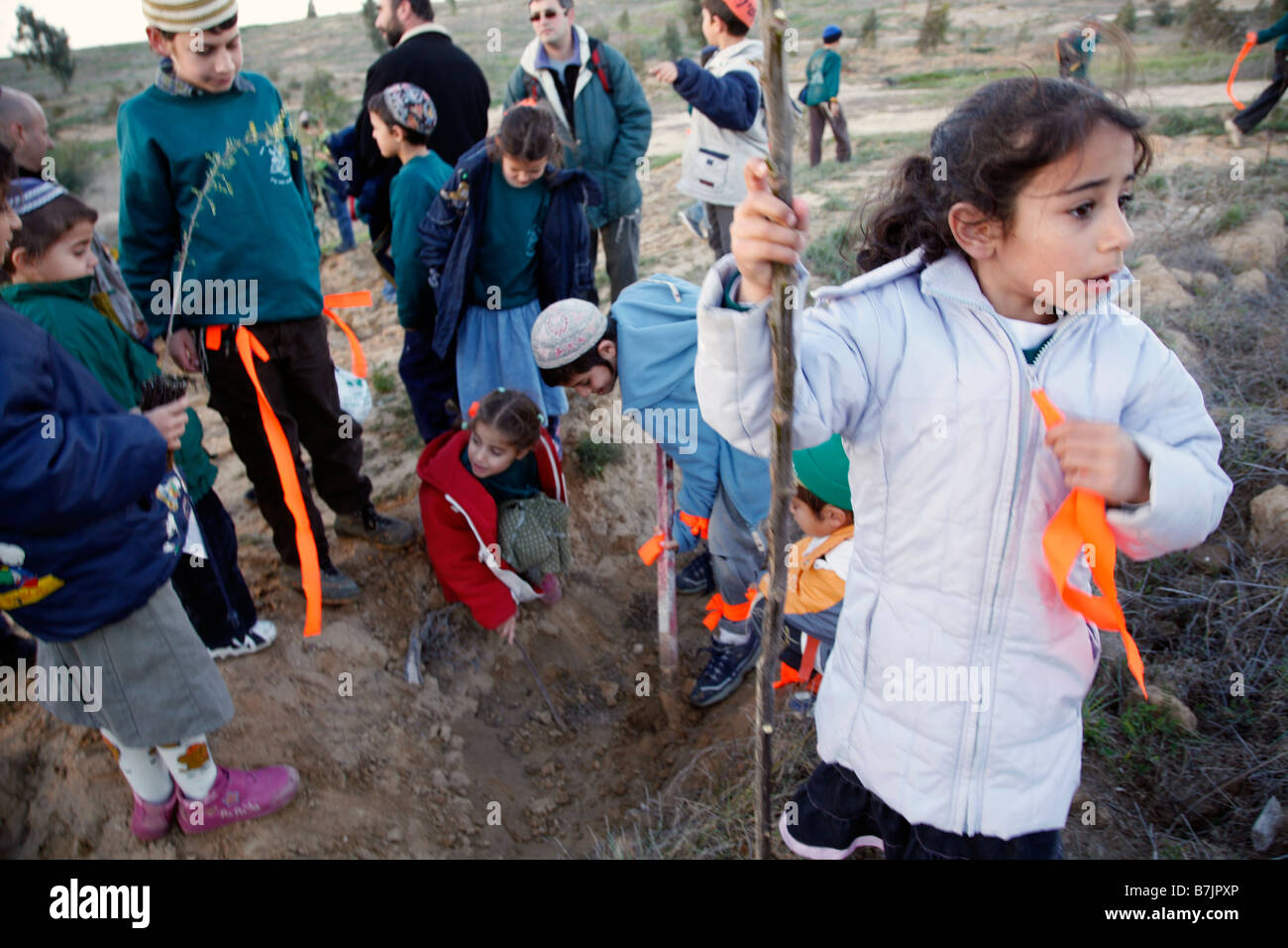 Israelische Kinder Pflanzen Olivenbäume für das jüdische fest der Tu Bshvat. Stockfoto