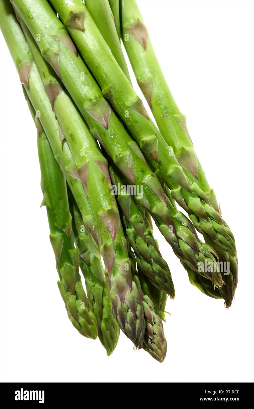 Grüne frische kulinarische Gemüse Spargel Officinalis Speere auf einem weißen Hintergrund gruppiert, als ob es zu kochen. Stockfoto
