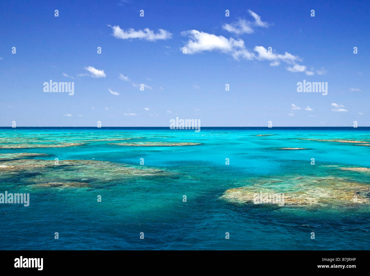Osprey reef Stockfoto