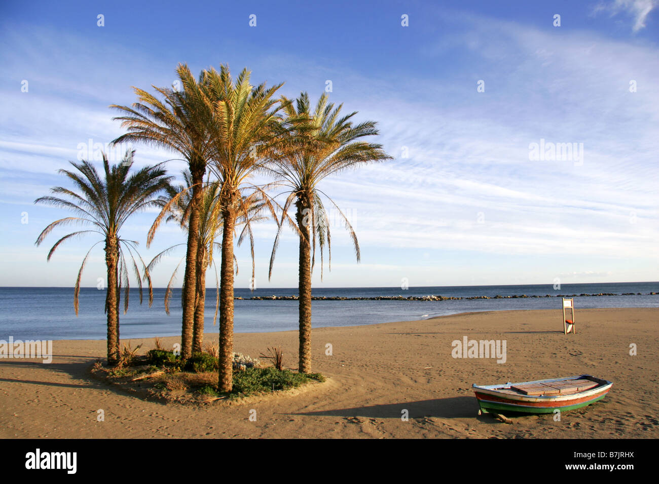 Hölzerne Boot und Palmen Bäume am Strand von Benalmadina Costa Del Sol Malaga Andalusien Spanien Stockfoto