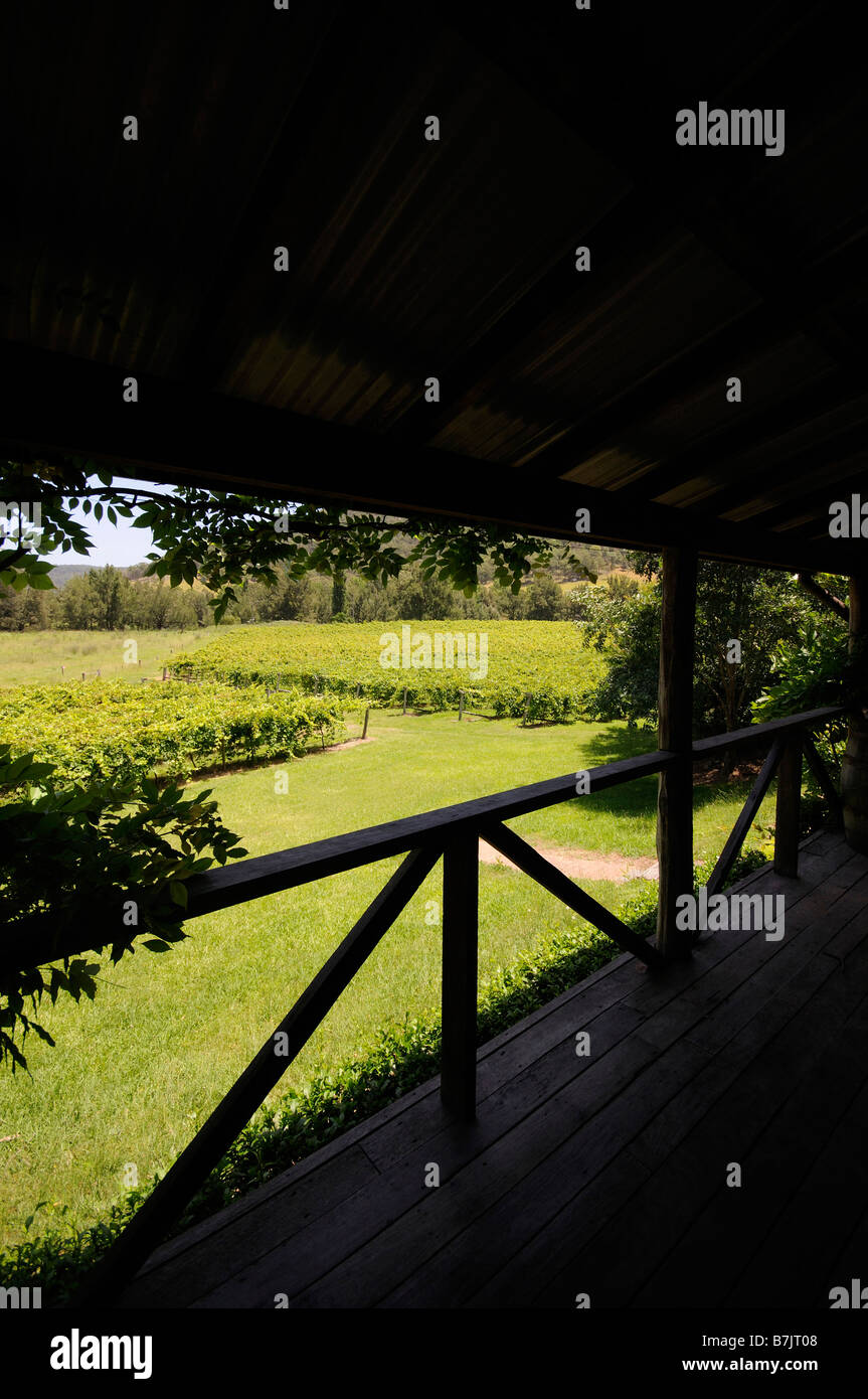 Hunter Valley Weinberge New South Wales Australien Stockfoto